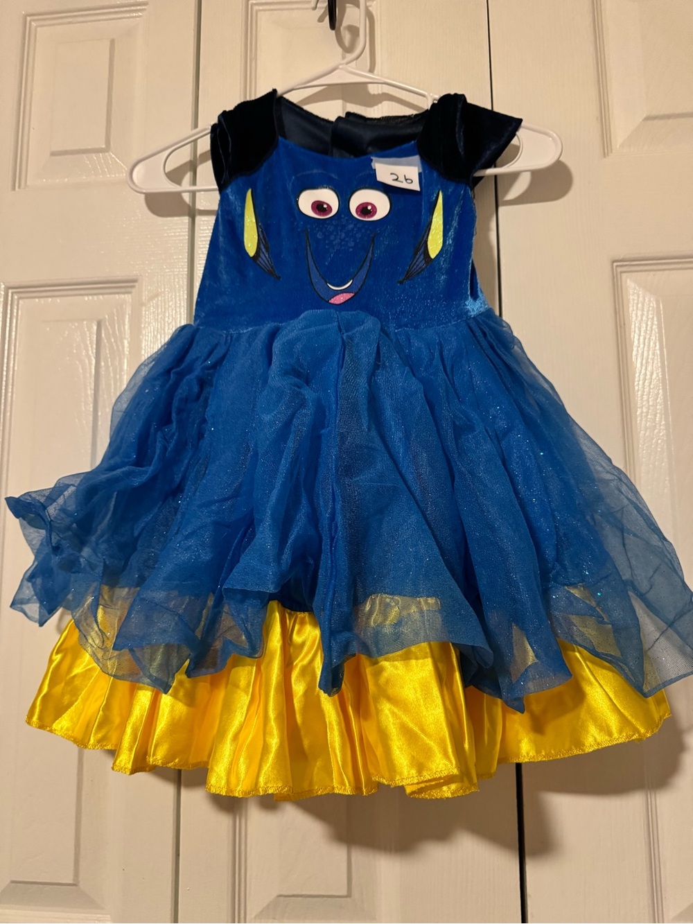 Dress up dory costume